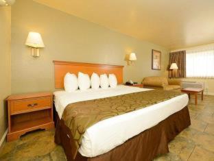 Best Western Padre Island Corpus Christi Quarto foto